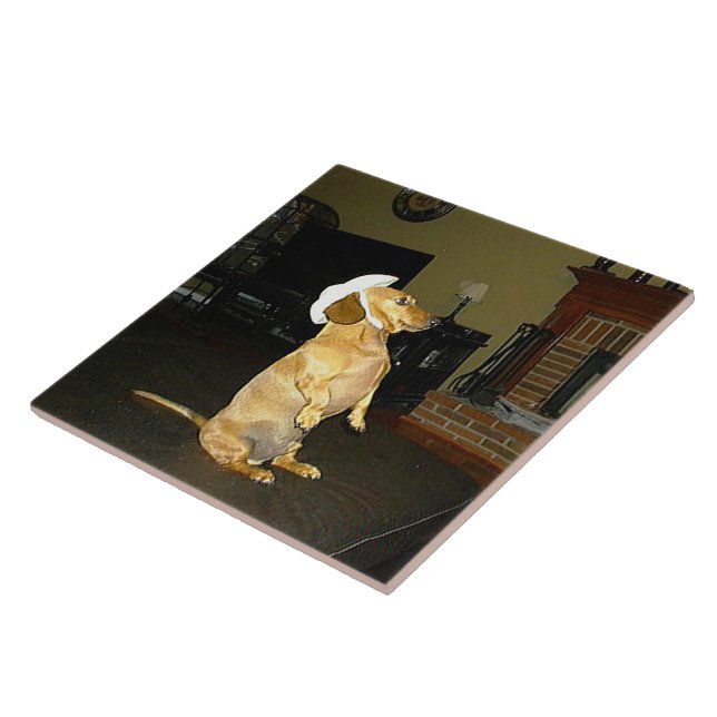 Funny Dachshund Dog Lover Sitting Pretty Kitchen Tile (Side)
