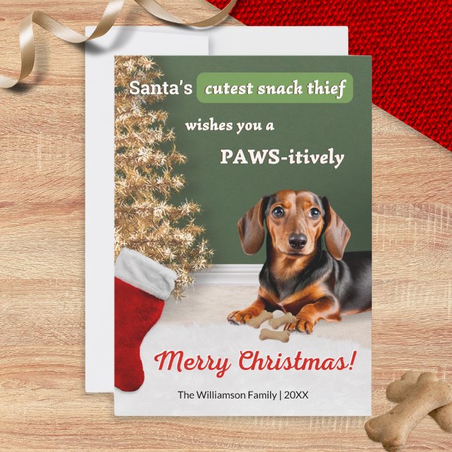 Funny Dachshund Dog Snack Thief Christmas Holiday Card (A funny Christmas card with picture of a cute dachshund, wishing a 'Paws-itively Merry Christmas')