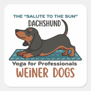 Funny dachshund doing the sun salutation (yoga) square sticker