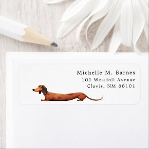 Funny Dachshund Puppy Dog Return 