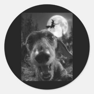 Funny Dachshund Selfie Full Moon Flying Witch Classic Round Sticker