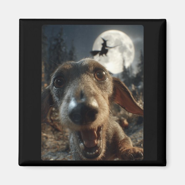 Funny Dachshund Selfie Full Moon Flying Witch Magnet (Front)