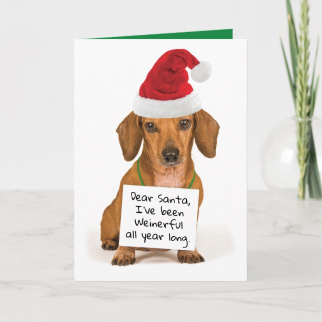 Funny Dachshund Wishing You a Wienerful Christmas Holiday Card (Front)
