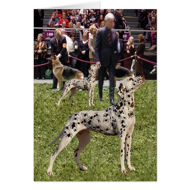 Funny Dalmatian Show Dog (Front)