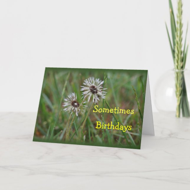 Funny Dandelion Birthday - change for any occasion Card (Front)