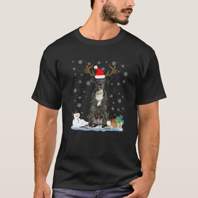 Funny Dane Dog Ugly Sweater Christmas Lights Premi (Front)