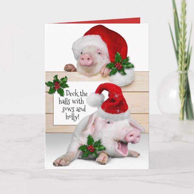 Funny Deck The Halls With Sows and Holly Holiday Card (Front)