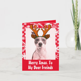 Funny Deer diadem pet photo snowflakes Invitation