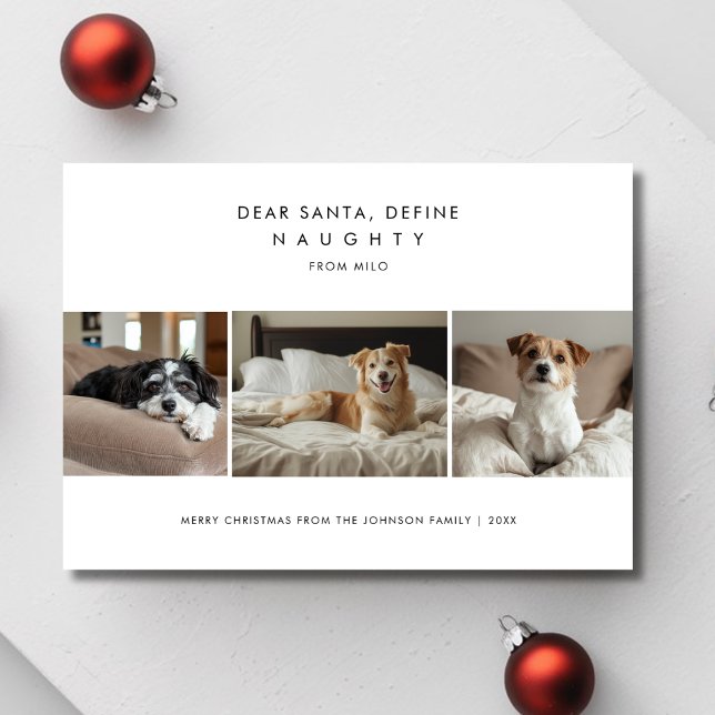 Funny Define Naughty Christmas Dog Photo Greetings Holiday Card (Creator Uploaded)