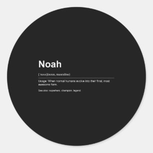 Funny Definition Quote For The Name Noah _  Classic Round Sticker