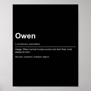 Funny Definition Quote For The Name Owen _  Poster