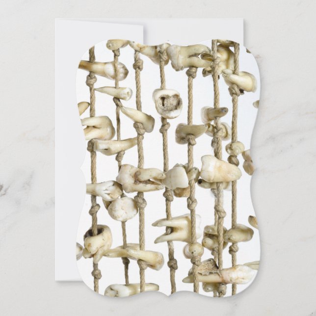 Funny Dental Photography Extracted Teeth Dentistry (Front)