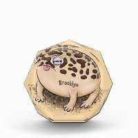 Funny desert rain frog cartoon illustration