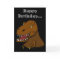 Funny Dinosaur Birthday Cartoon Tyrranosaurus Rex