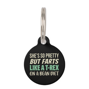 Funny Dinosaur Quote She’s So Pretty But Farts Pet Tag