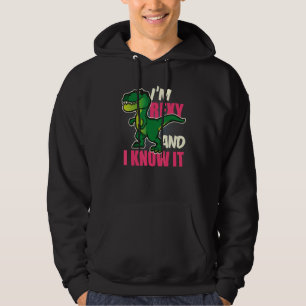 Funny Dinosaur T Rex  For Children Youth And Adult Hoodie