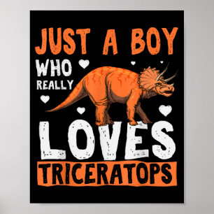 Funny Dinosaur Triceratops Apparel For Boys Poster