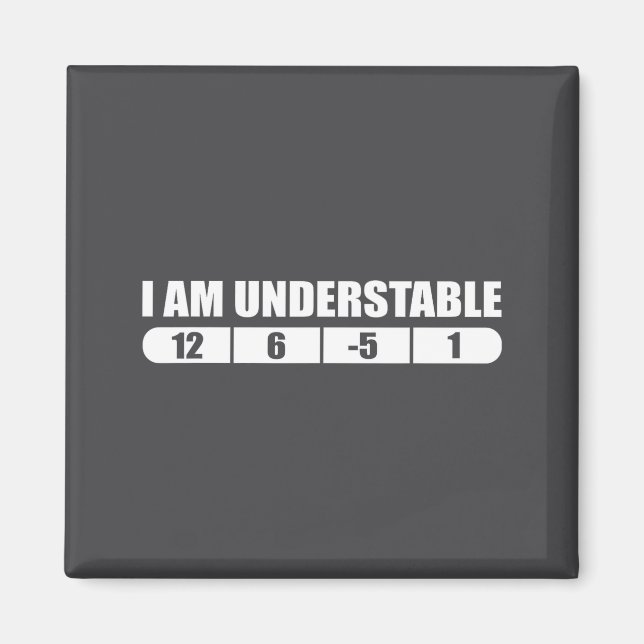 Funny Disc Golf Quote Design, I Am Understable Fri Magnet (Front)