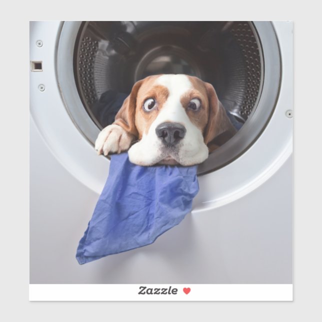 Funny dizzy beagle delicate washing (Sheet)