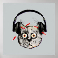 funny DJ cat boltz