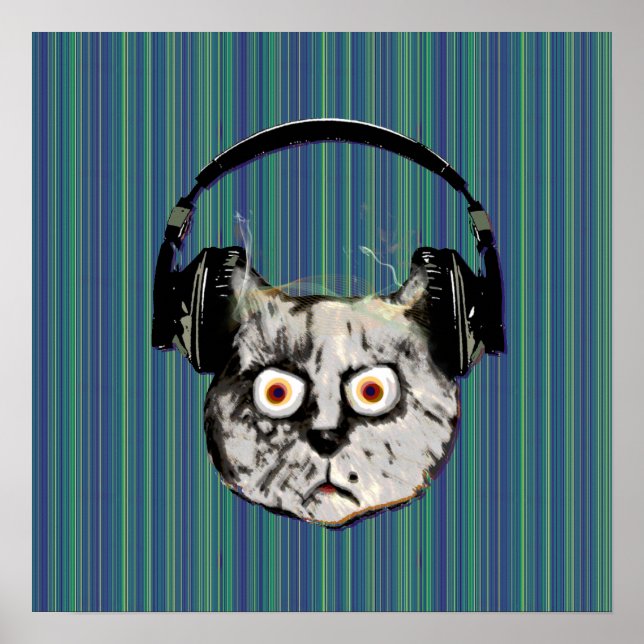 funny DJ cat Poster (Front)