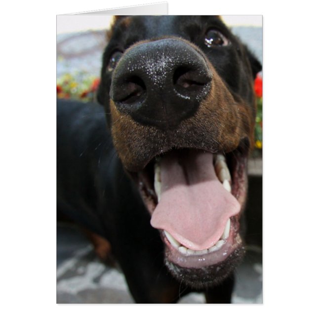 Funny Doberman (Front)