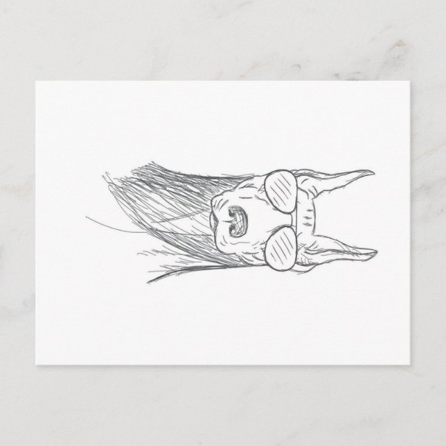 Funny Doberman Dog With Sunglasses Holiday Postcard (Front)