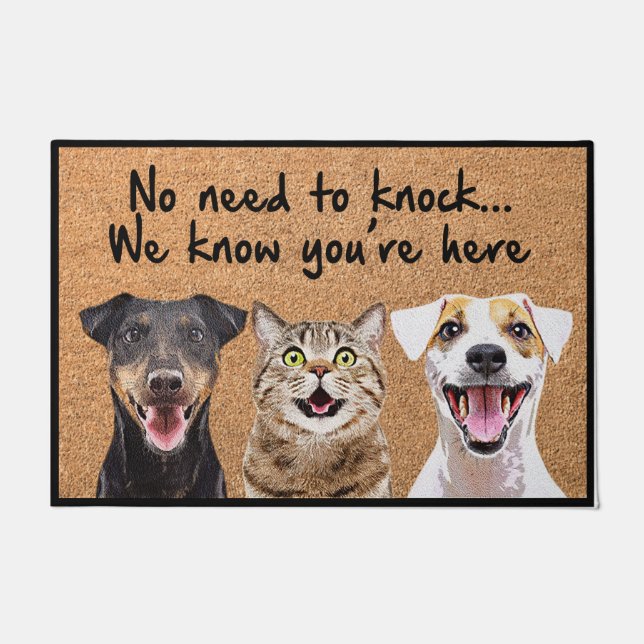 Funny Dog And Cat Doormat, Cute Pet Outdoor Mat (Front)