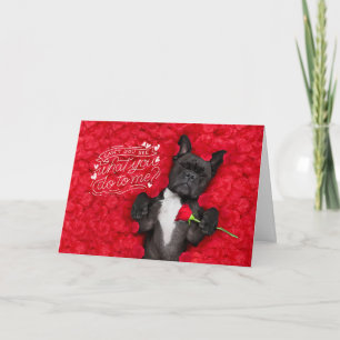 Funny Dog and Red Roses Happy Valentine's Day  Card