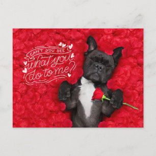 Funny Dog and Red Roses Happy Valentine's Day Holiday Postcard