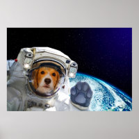 Funny Dog Astronaut