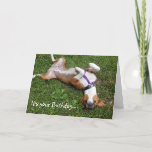 Funny Dog Birthday Card