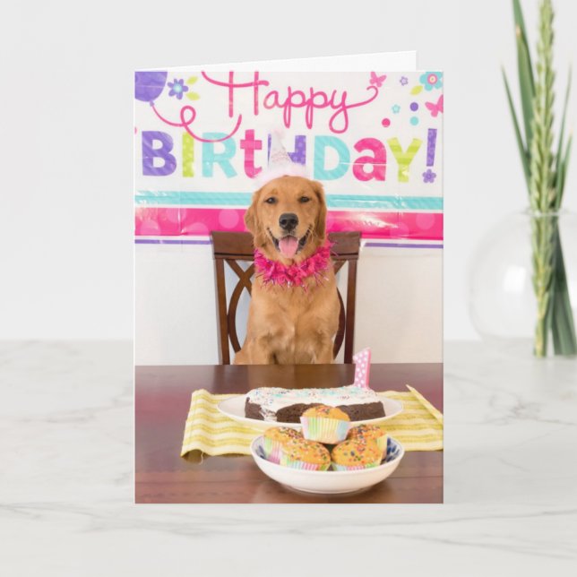 Funny Dog Birthday Card (Front)