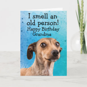 Funny dog birthday card