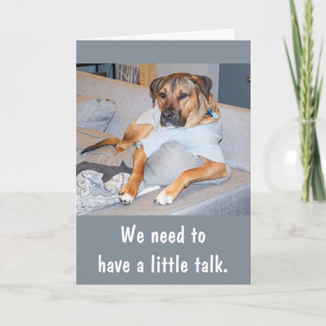 Funny Dog Birthday Card (Front)