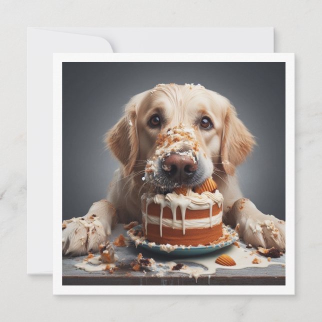 Funny dog birthday card, golden retriever  invitation (Front)