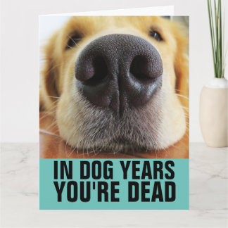 FUNNY DOG BIRTHDAY DOG GREETING CARDS