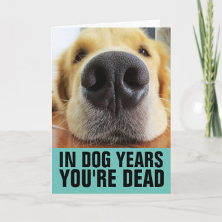 FUNNY DOG BIRTHDAY, DOG YEARS YOU'RE DEAD greetng Card