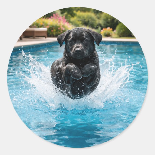 Funny dog Canonball  Summer Pool Party Classic Round Sticker (Front)