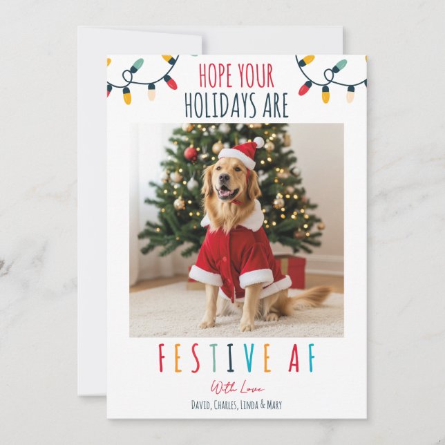 Funny Dog Cat Pet Photo Christmas Festive AF Holiday Card (Front)