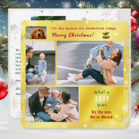 Funny Dog Cat We've Moved New Home 5 Photos Golden