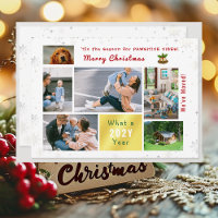 Funny Dog Cat We've Moved New Home 6 Photos Cute