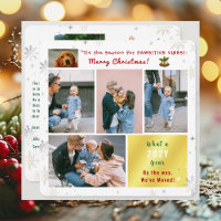 Funny Dog Cat We've Moved New Home 6 Photos Cute