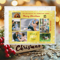 Funny Dog Cat We've Moved New Home 6 Photos Golden