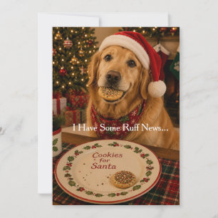 Funny Dog Christmas Card Cookies for Santa