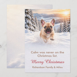 Funny Dog Christmas Card Cute Puppy Family
