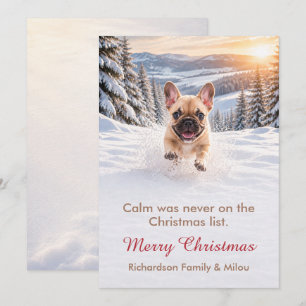 Funny Dog Christmas Card Cute Puppy Family