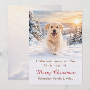 Funny Dog Christmas Card Cute Puppy Family