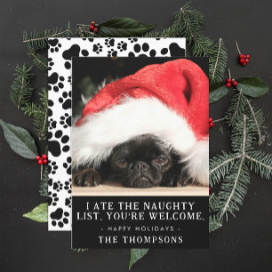 Funny Dog Christmas Picture Personalised Photo Holiday Card