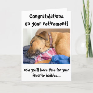Funny Dog Congratulation on Retirement Card